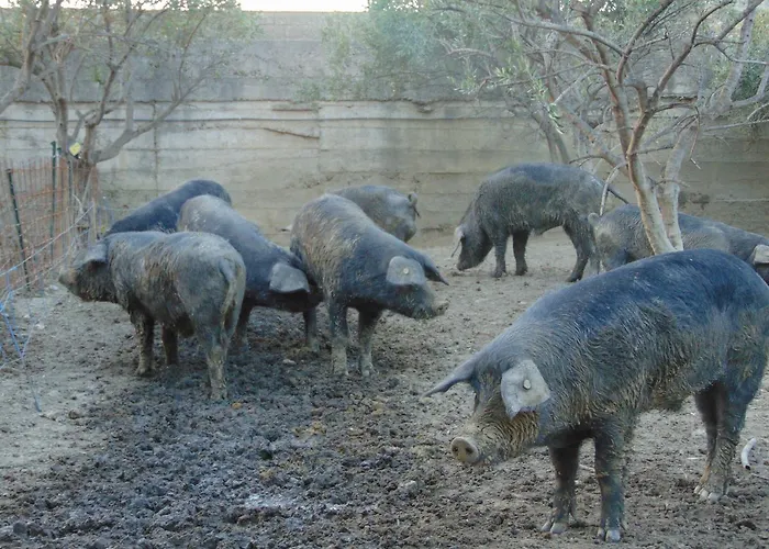 Agriturismo Fonte Madonna Crosia